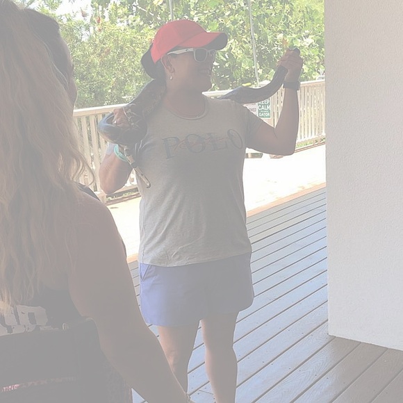 Meet your Posher, C Paz - Picture 1 of 1